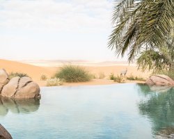 Complimentary two selective desert activities & 10% off on other activities